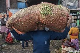 vegetable wholesale market