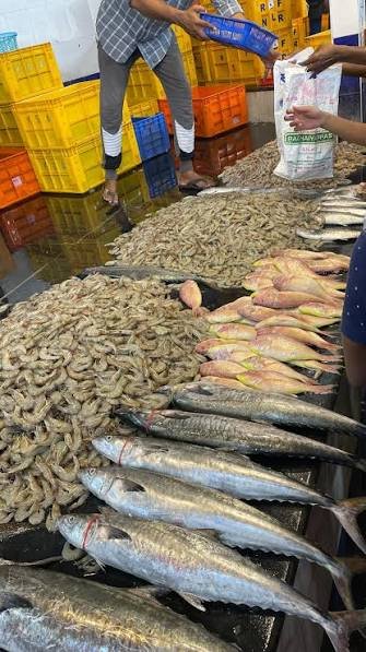 wholesale fish market