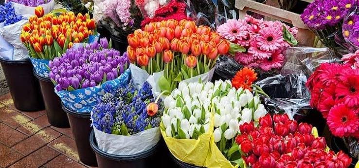flower wholesale rates in India